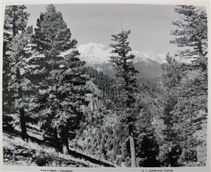 Image description is not available for 2007.039